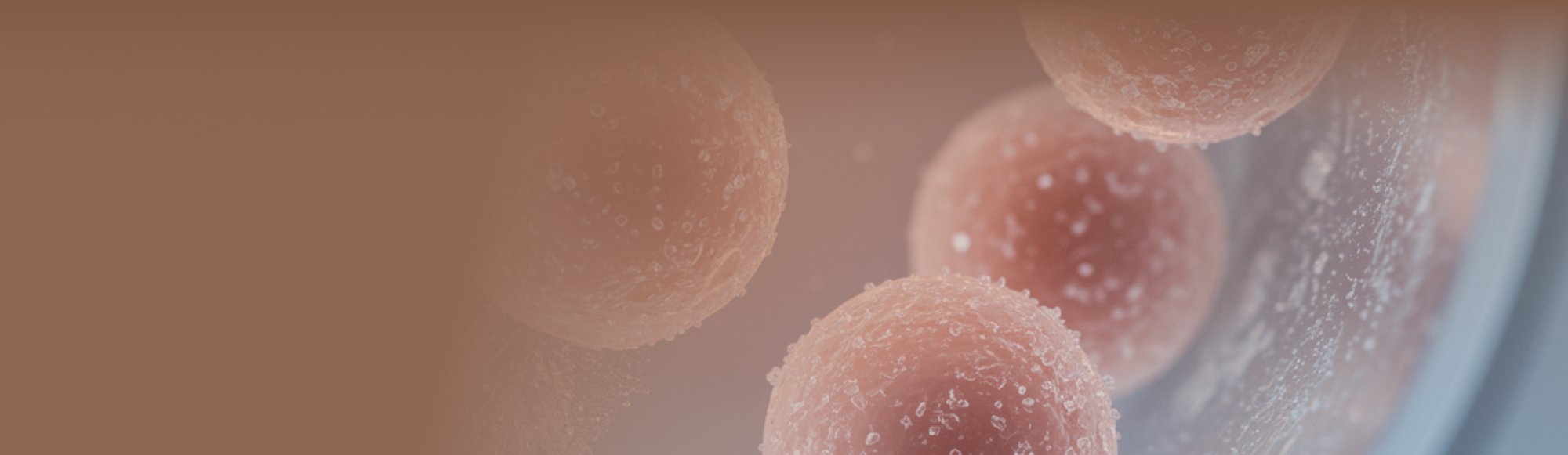 Congelamento de Óvulos - Preservação da Fertilidade